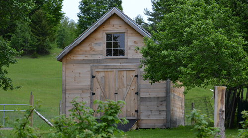 Garden Shed